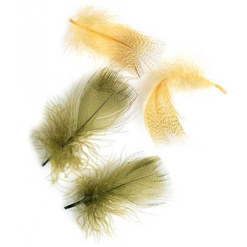 Mallard Duck Breast (poitrail) 2 grs VENIARD