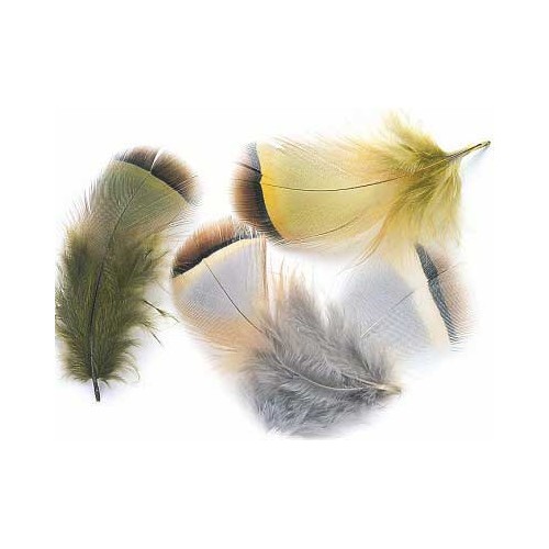 French Partridge Hackle 2gr VENIARD