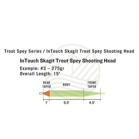Soie Rio Intouch Skagit Trout Spey Shooting Head