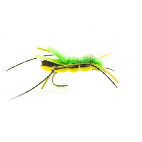 Mouche devaux sauterelle saut01