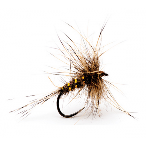 Mouche Devaux émergente HL04