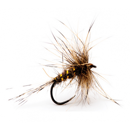 Mouche Devaux émergente HL04