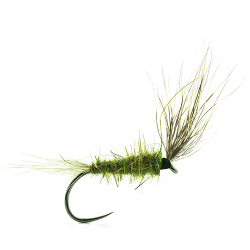 MOUCHE DEVAUX EMERGENTE HLO3