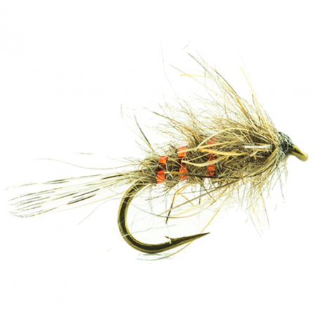 Mouche Devaux émergente  jbeol01