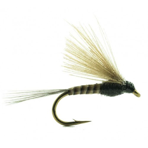 Mouche Devaux èmergente  jbe46