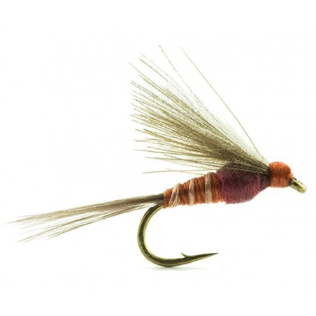 Mouche Devaux émergente jbe02