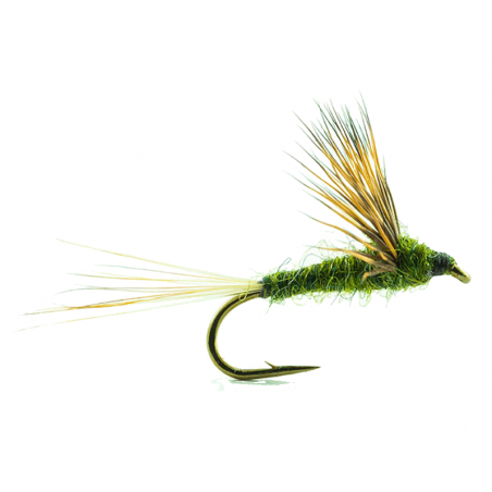 Mouche Devaux émergente cd03