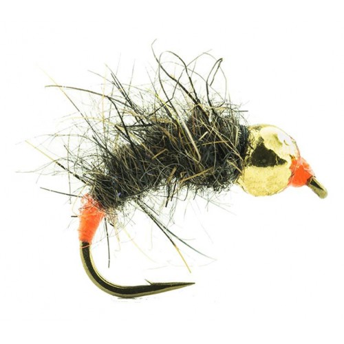 Mouche Devaux nymphe jbnt03