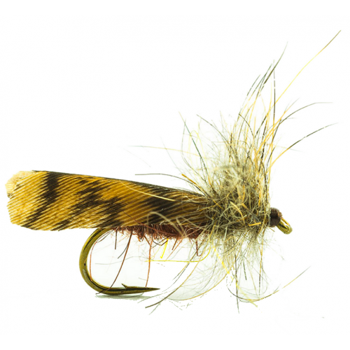 Mouche Devaux sedge bcs