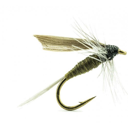 Mouche sèche DEVAUX Ornans 02