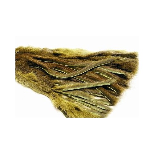 Zonker écureuil sur peau