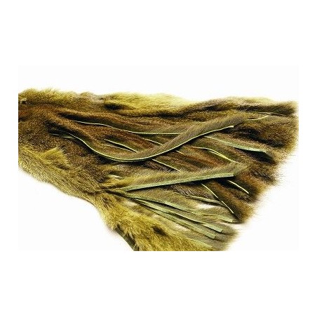 Zonker écureuil sur peau