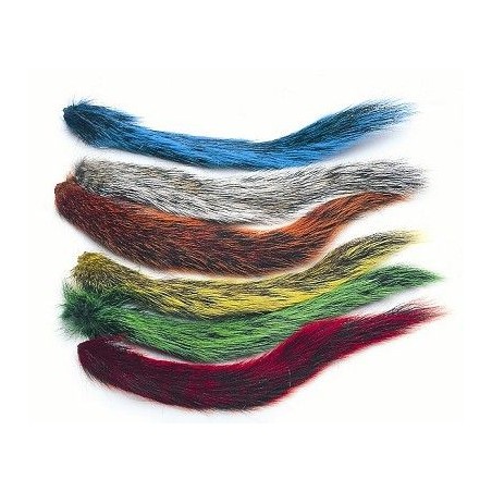 Queue d'écureuil teintée