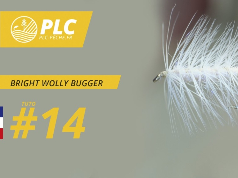 Montage mouche : Bright Wolly Bugger