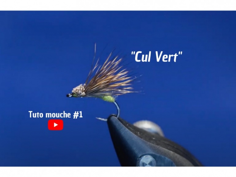 Tuto mouche 1 : Cul Vert