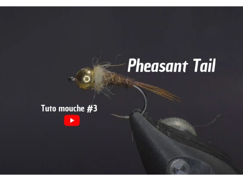 Tuto mouche 3 : Pheasant Tail 