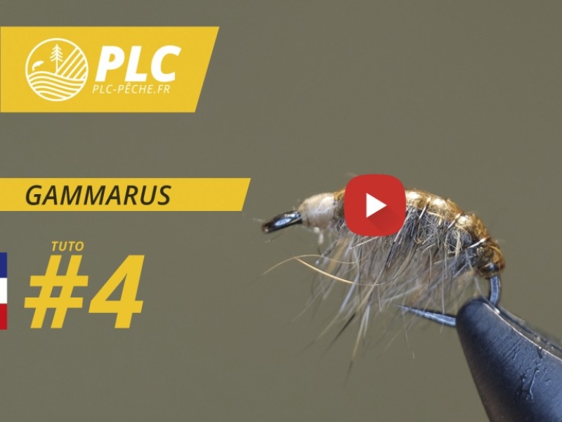 Tuto mouche 4 : Gammarus