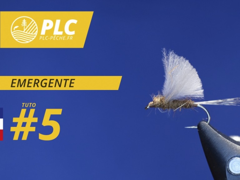 Tuto mouche 5 : Emergente