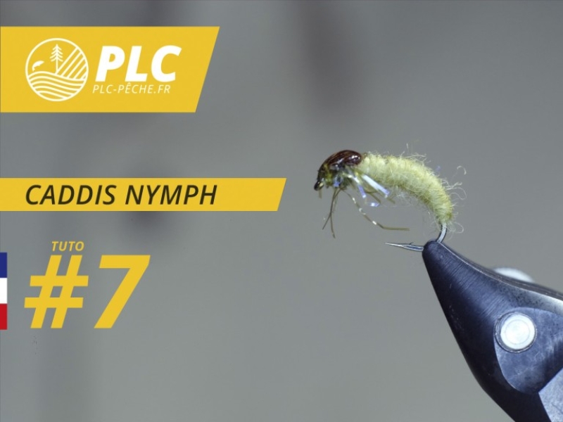 Tutu mouche 7 : Caddis Nymph