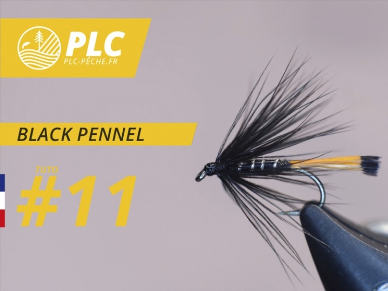 Montage mouche 11 : Black Pennel